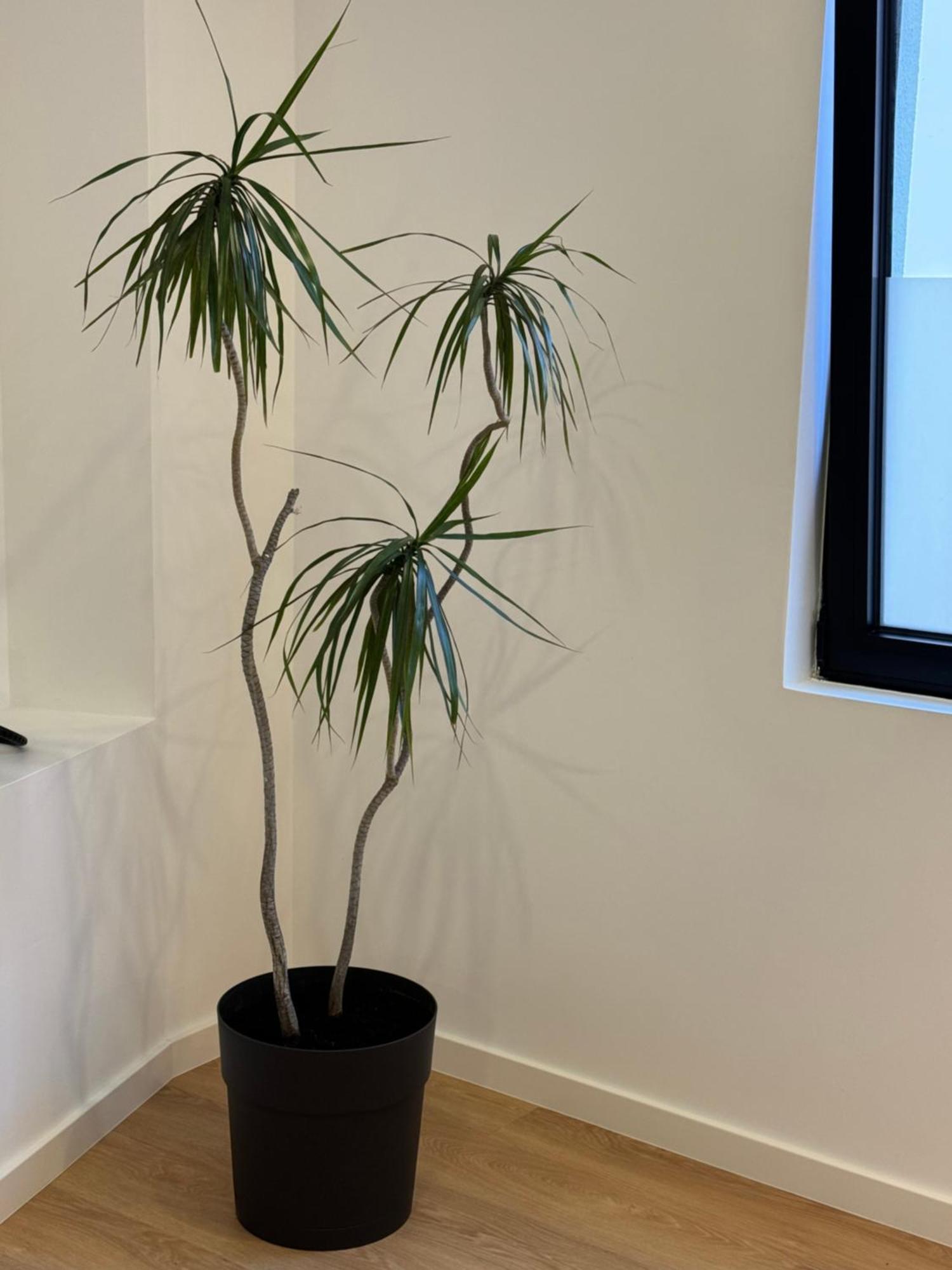 Ponta Delgada Living Pdl 2 아파트 외부 사진